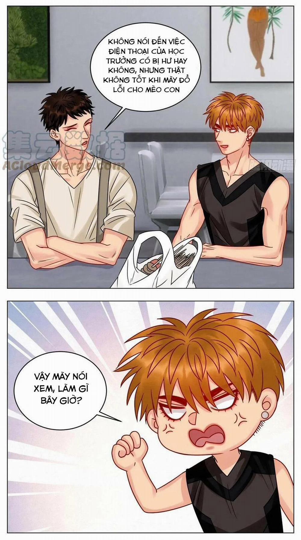 Ký túc xá nam phòng 303 196 trang 13