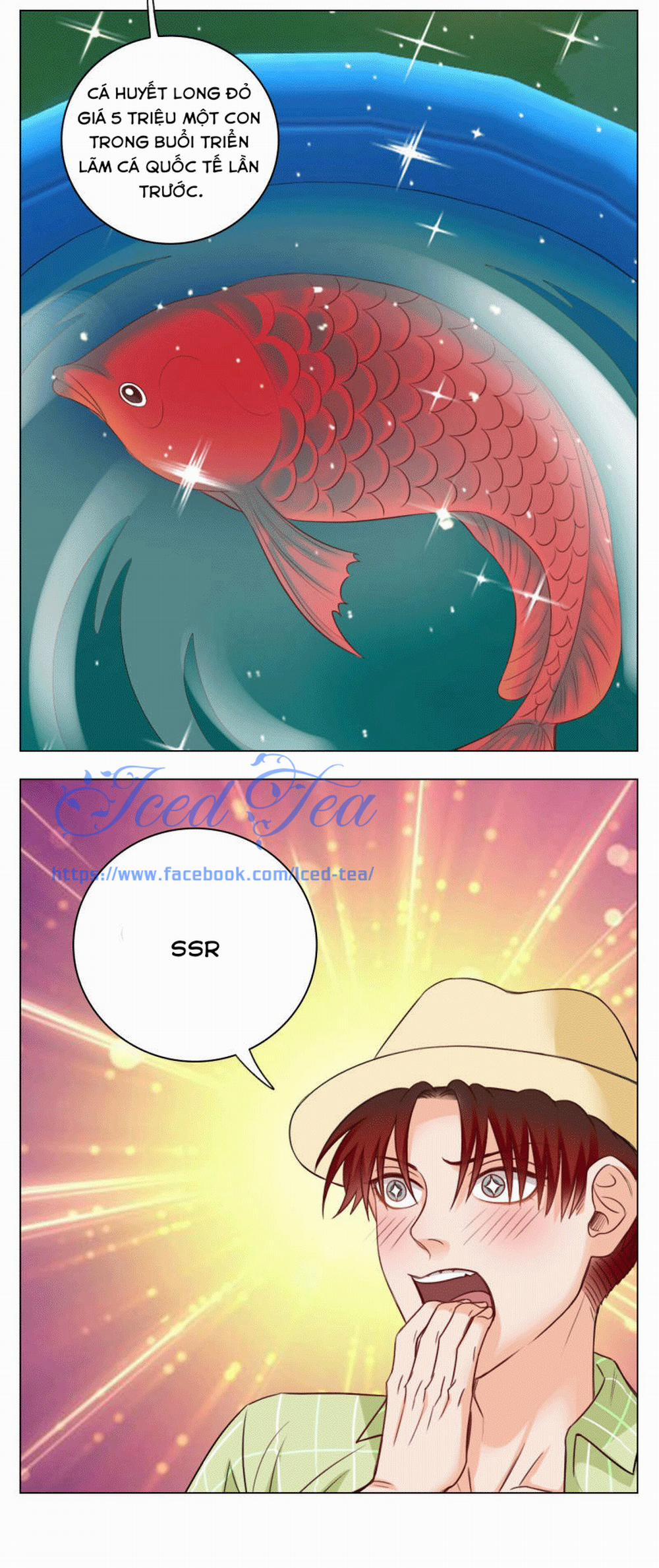 Ký túc xá nam phòng 303 22 trang 52