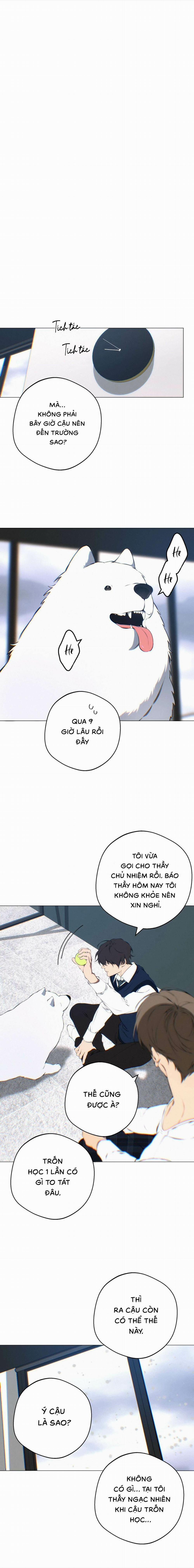 Lạc Giữa Những Tầng Mây 126 trang 0