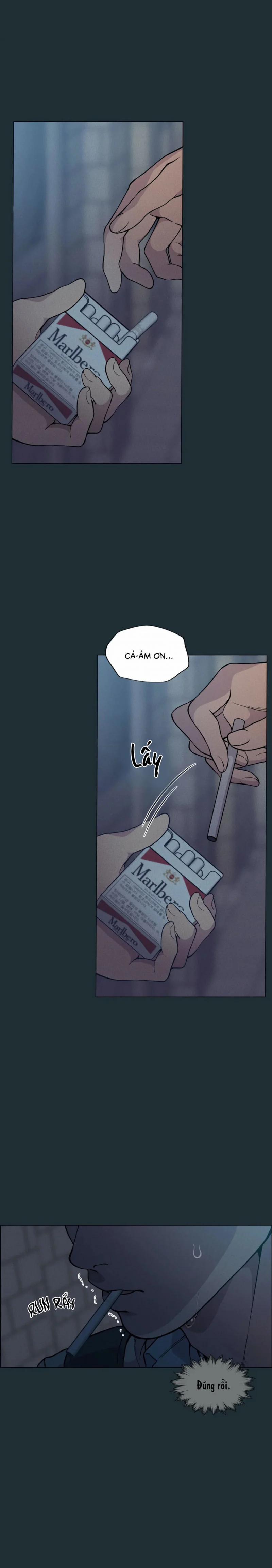 Lạc Giữa Những Tầng Mây 27 trang 17