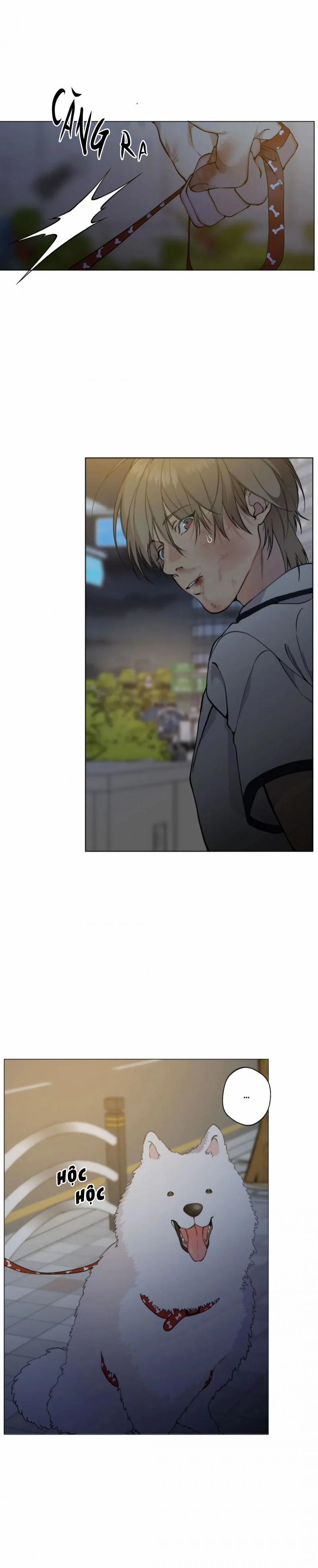 Lạc Giữa Những Tầng Mây 40 trang 10