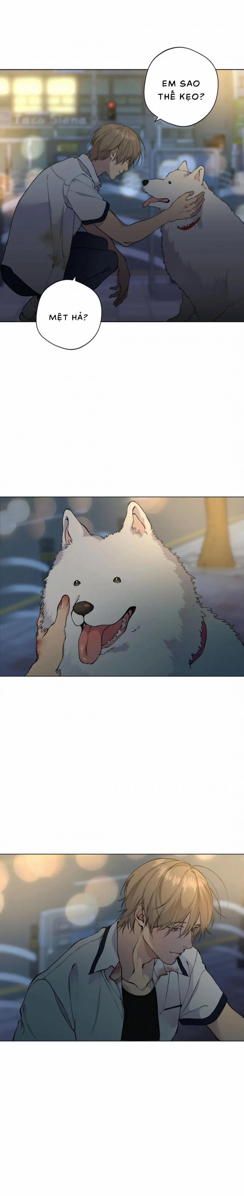 Lạc Giữa Những Tầng Mây 40 trang 11