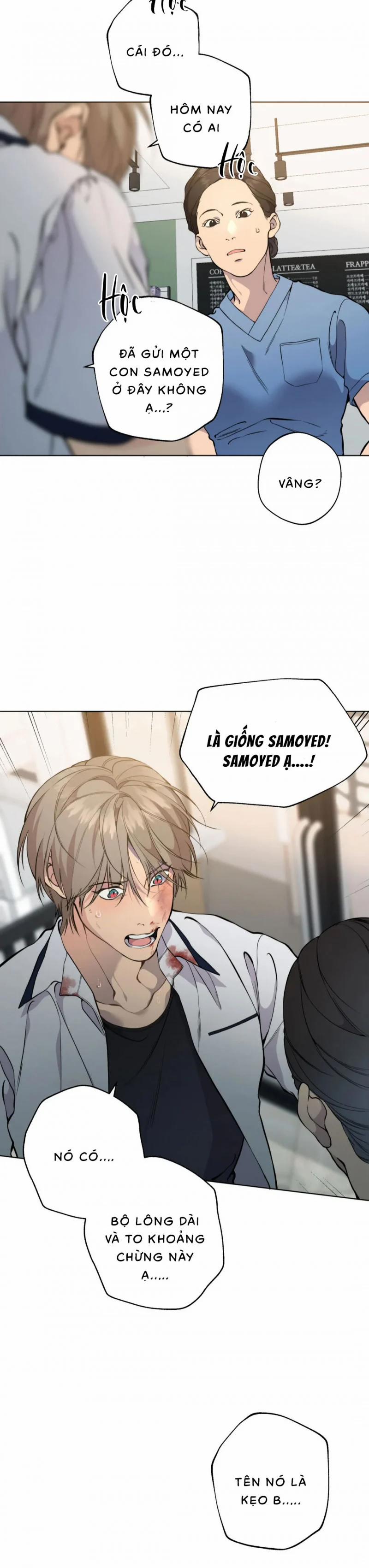 Lạc Giữa Những Tầng Mây 40 trang 3