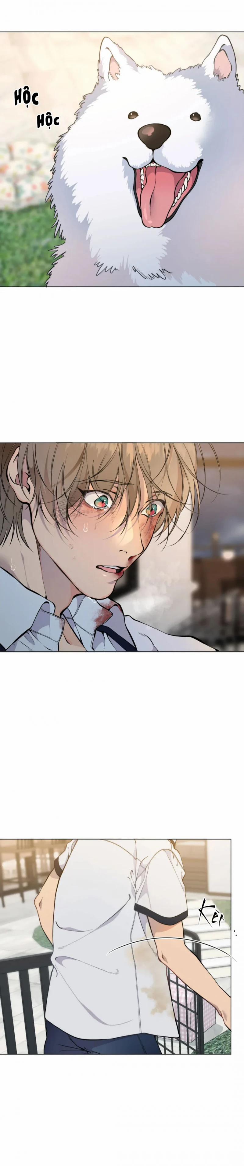 Lạc Giữa Những Tầng Mây 40 trang 5