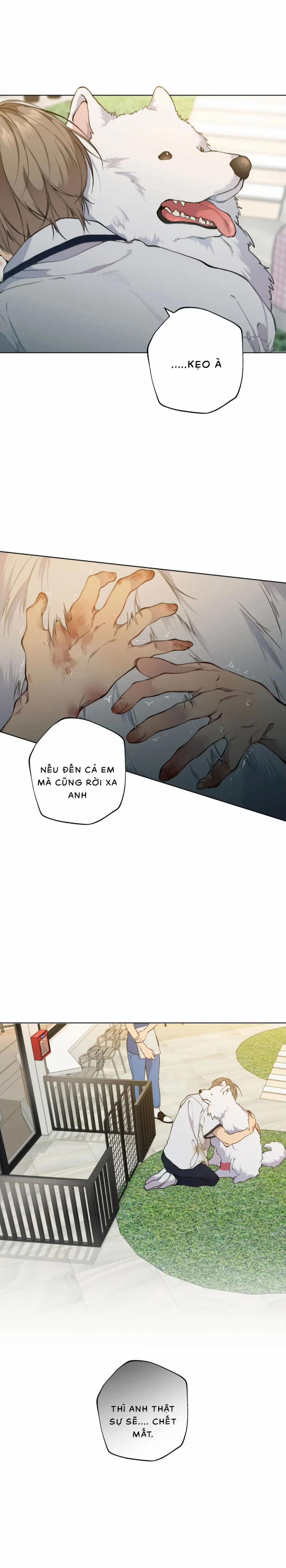 Lạc Giữa Những Tầng Mây 40 trang 7