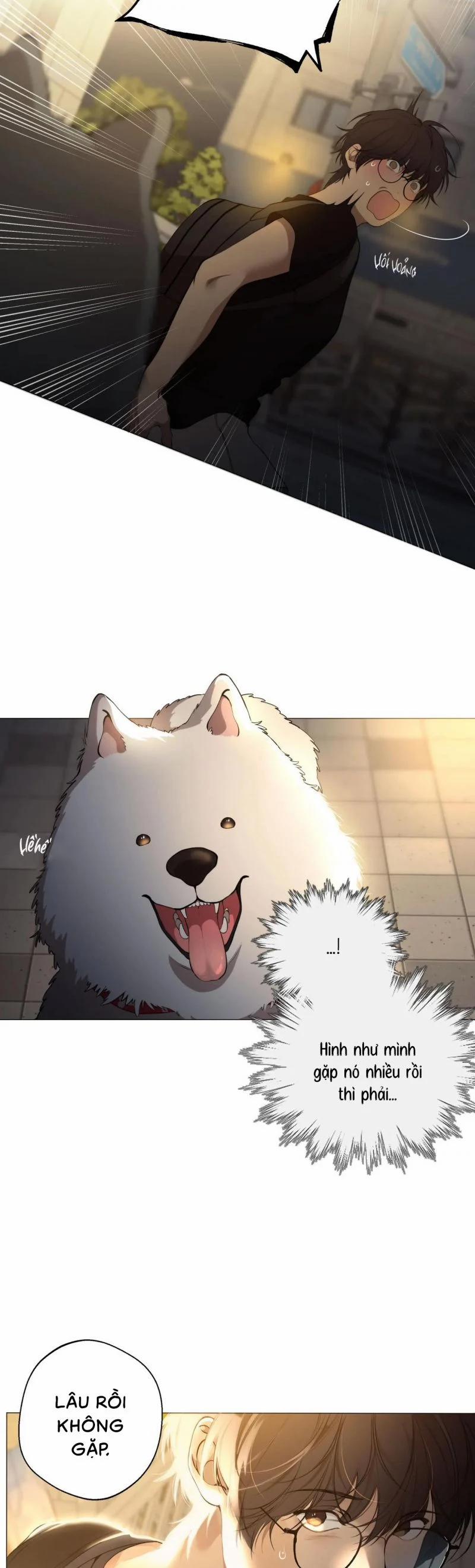 Lạc Giữa Những Tầng Mây 57.5 trang 4