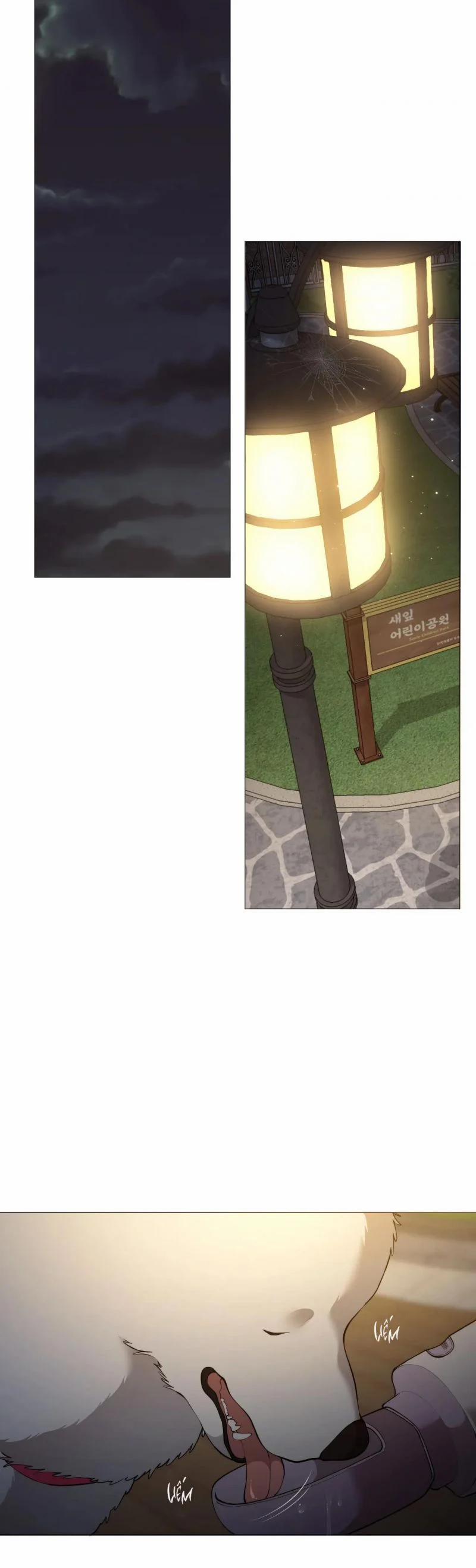 Lạc Giữa Những Tầng Mây 57.5 trang 6