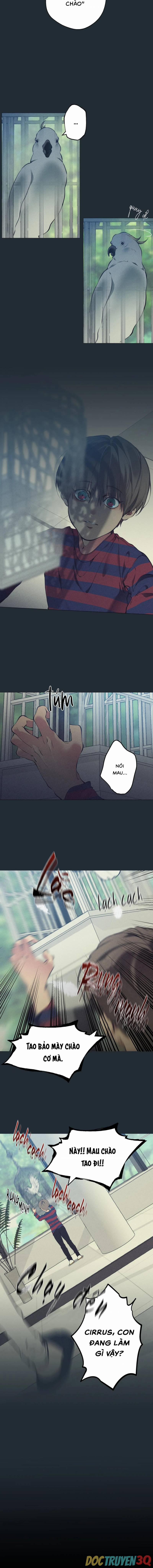 Lạc Giữa Những Tầng Mây 77 trang 11