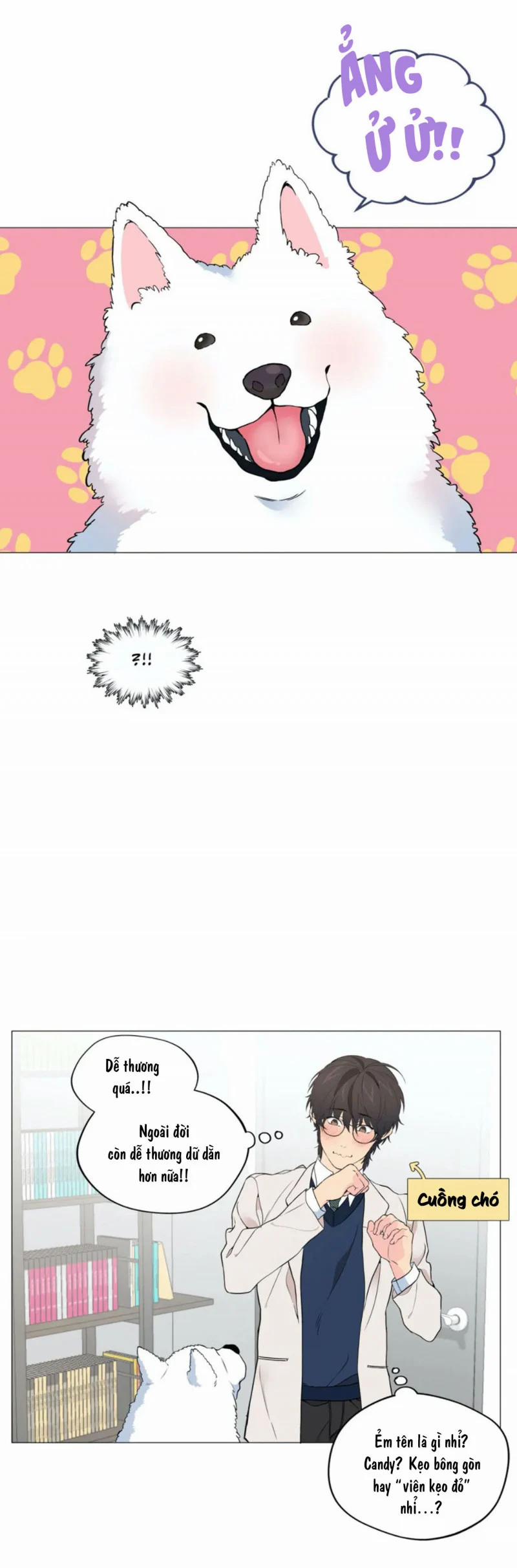 Lạc Giữa Những Tầng Mây 9 trang 17