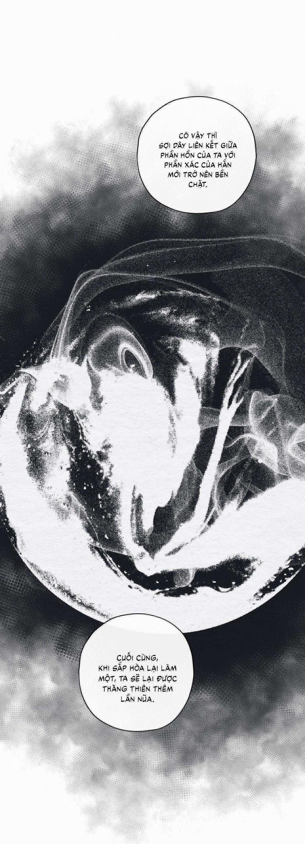 Lạc Hồn 29 trang 21