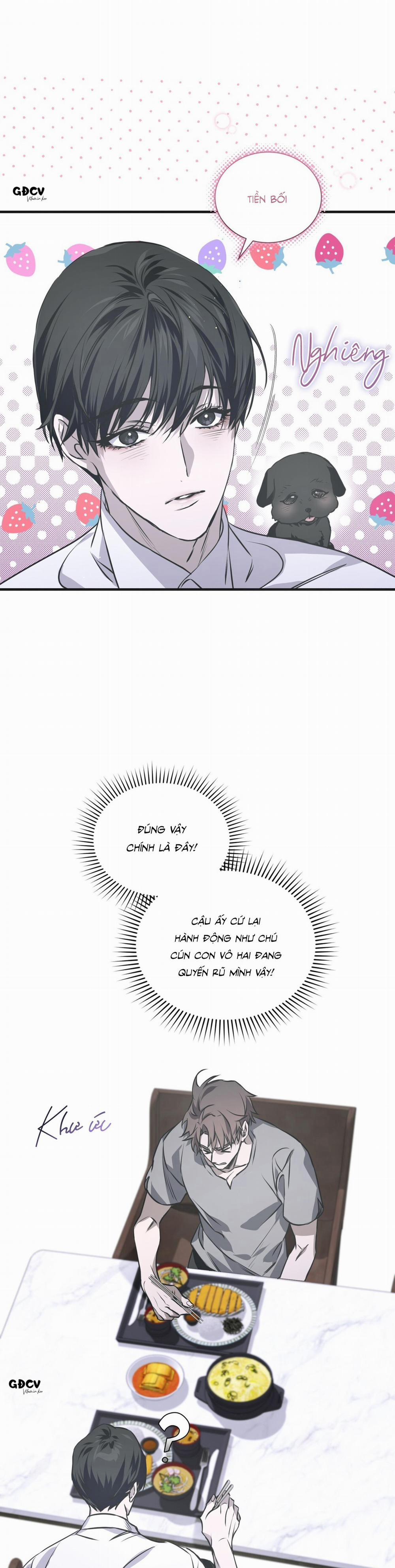 Lạc Lối 15 trang 24