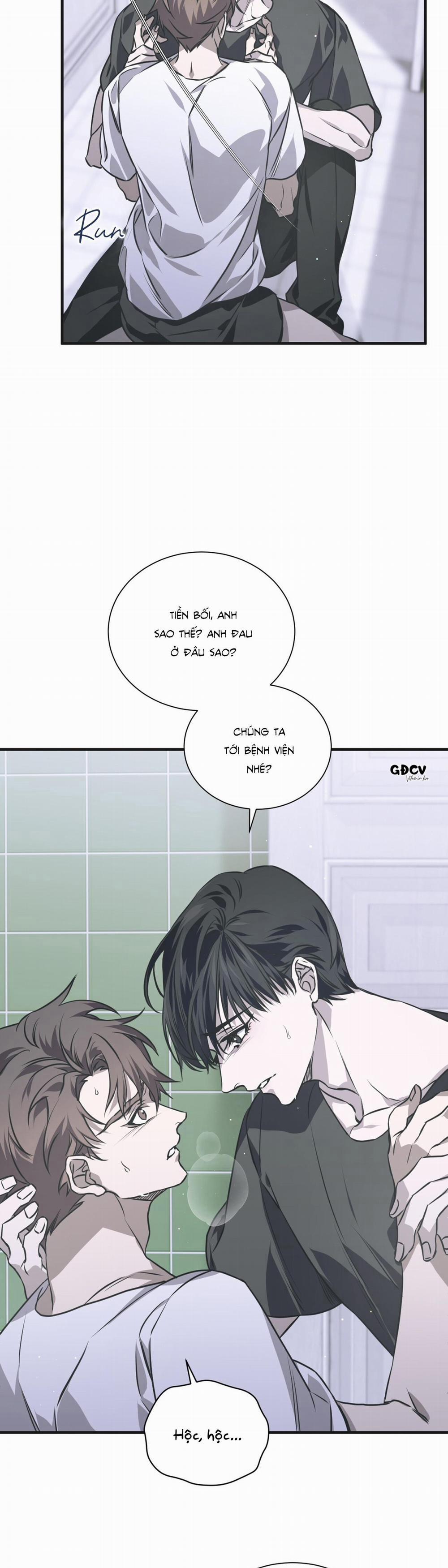 Lạc Lối 15 trang 5