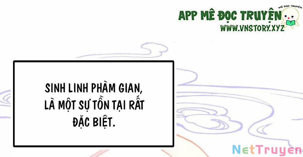 Lại Bị Bệnh Chiều Chuộng Quấn Lấy 0 Cứu rỗi trang 4