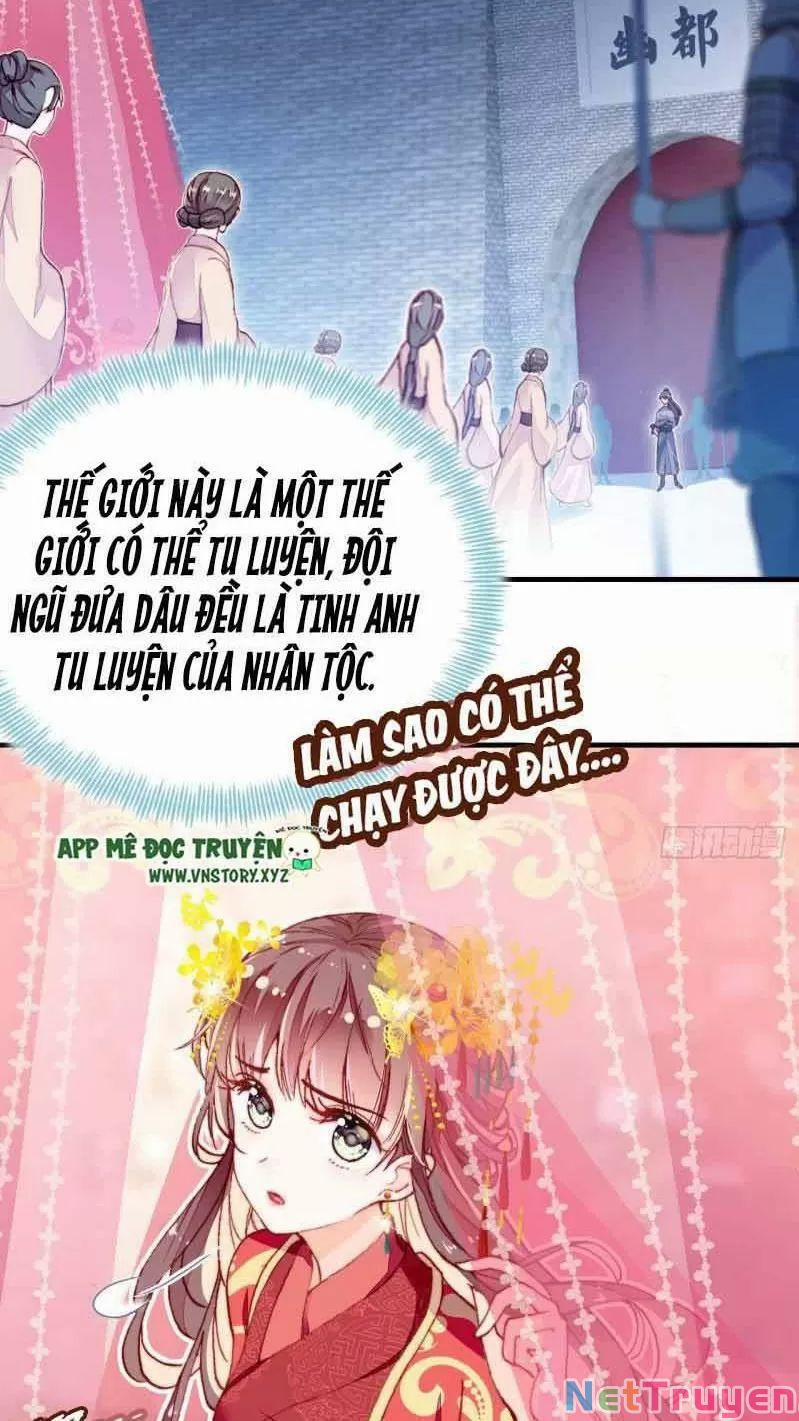 Lại Bị Bệnh Chiều Chuộng Quấn Lấy 0 Gả Cho Hoàng Đế Điên trang 17