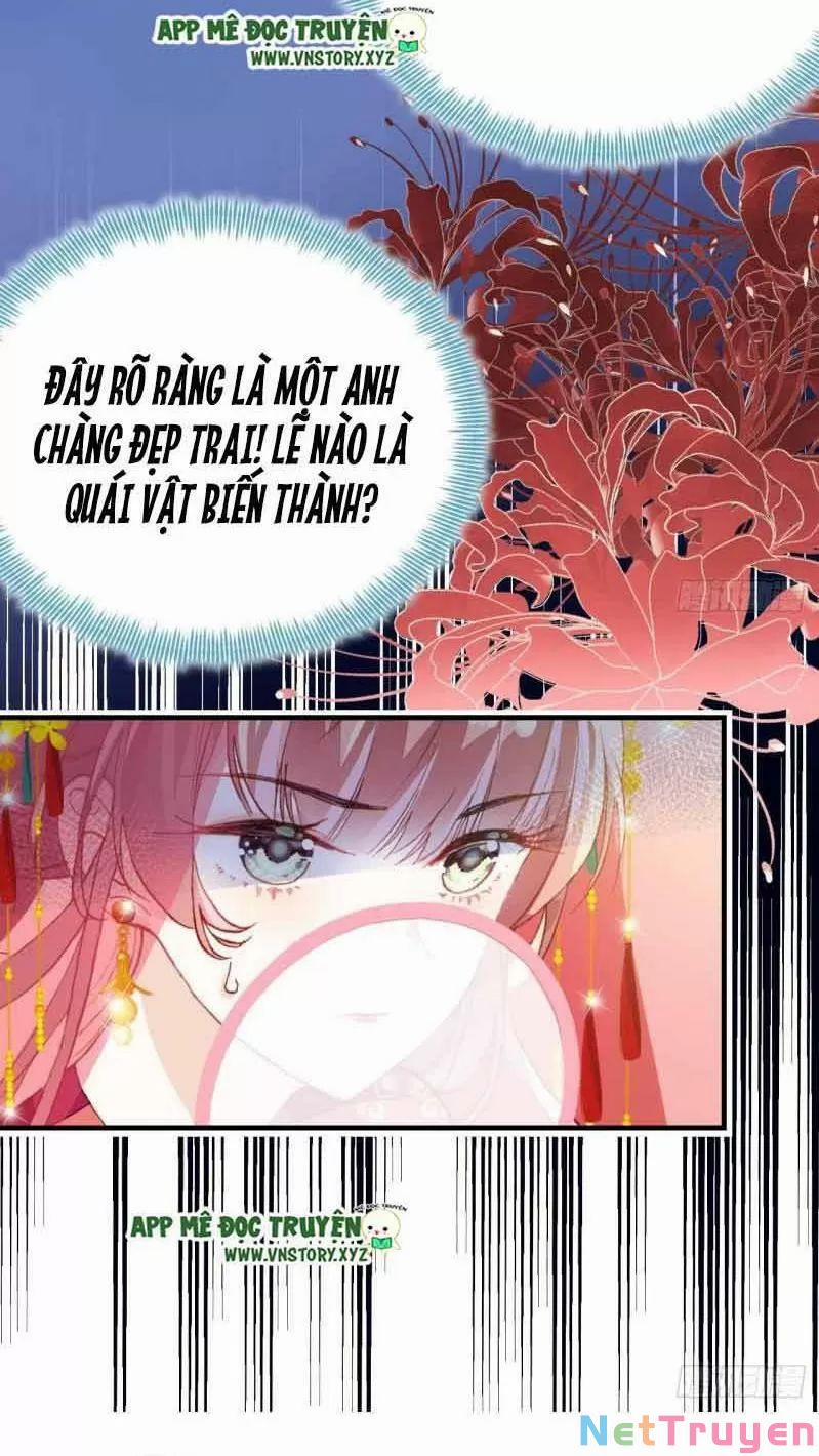 Lại Bị Bệnh Chiều Chuộng Quấn Lấy 0 Gả Cho Hoàng Đế Điên trang 41