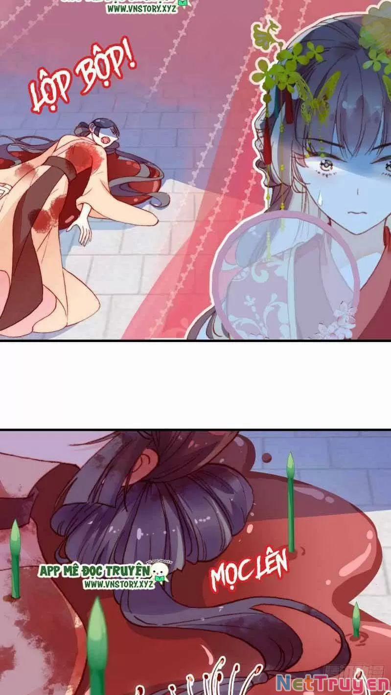 Lại Bị Bệnh Chiều Chuộng Quấn Lấy 0 Gả Cho Hoàng Đế Điên trang 44