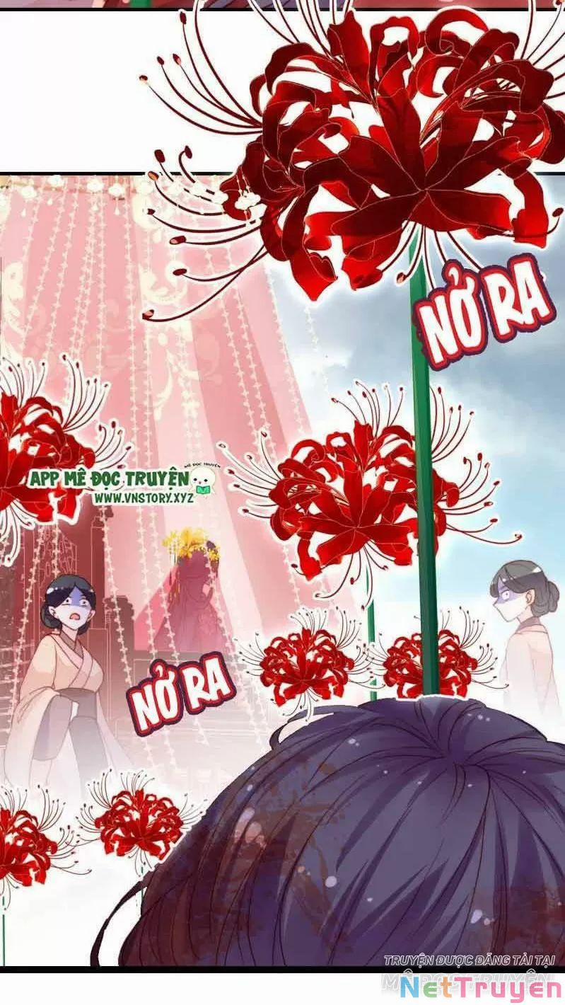 Lại Bị Bệnh Chiều Chuộng Quấn Lấy 0 Gả Cho Hoàng Đế Điên trang 45