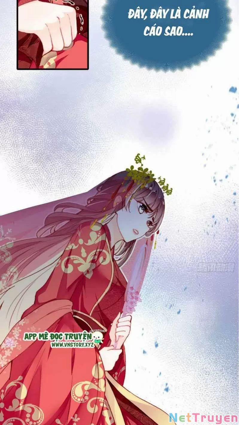 Lại Bị Bệnh Chiều Chuộng Quấn Lấy 0 Gả Cho Hoàng Đế Điên trang 47
