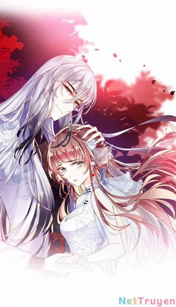 Lại Bị Bệnh Chiều Chuộng Quấn Lấy 0 Hệ thống đáng đánh đòn đang trực tuyến trang 0