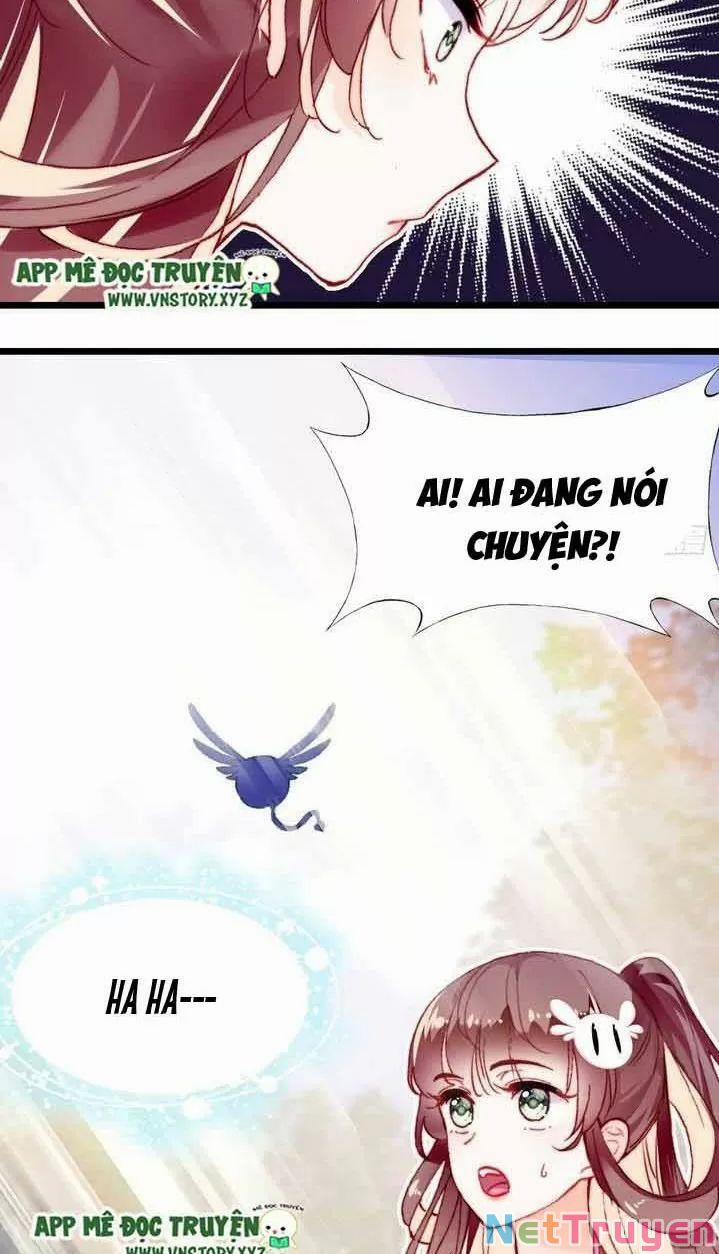 Lại Bị Bệnh Chiều Chuộng Quấn Lấy 0 Hệ thống đáng đánh đòn đang trực tuyến trang 22