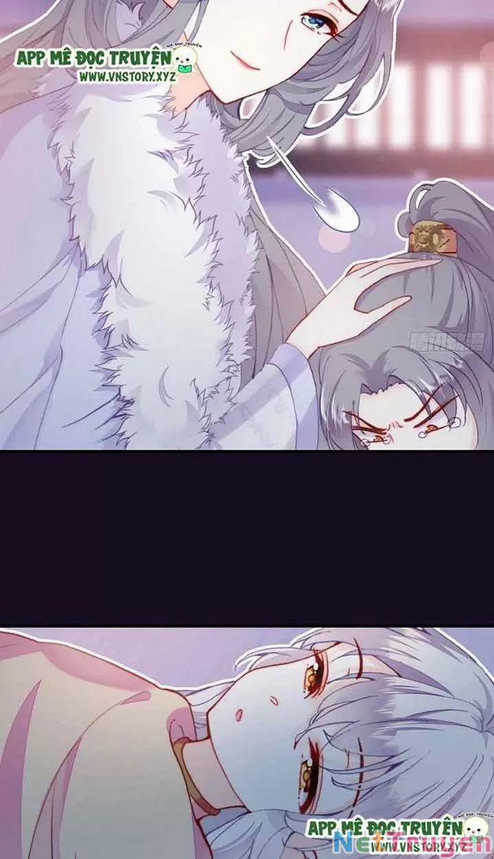 Lại Bị Bệnh Chiều Chuộng Quấn Lấy 0 Hồi Ức Trọng Thương trang 19