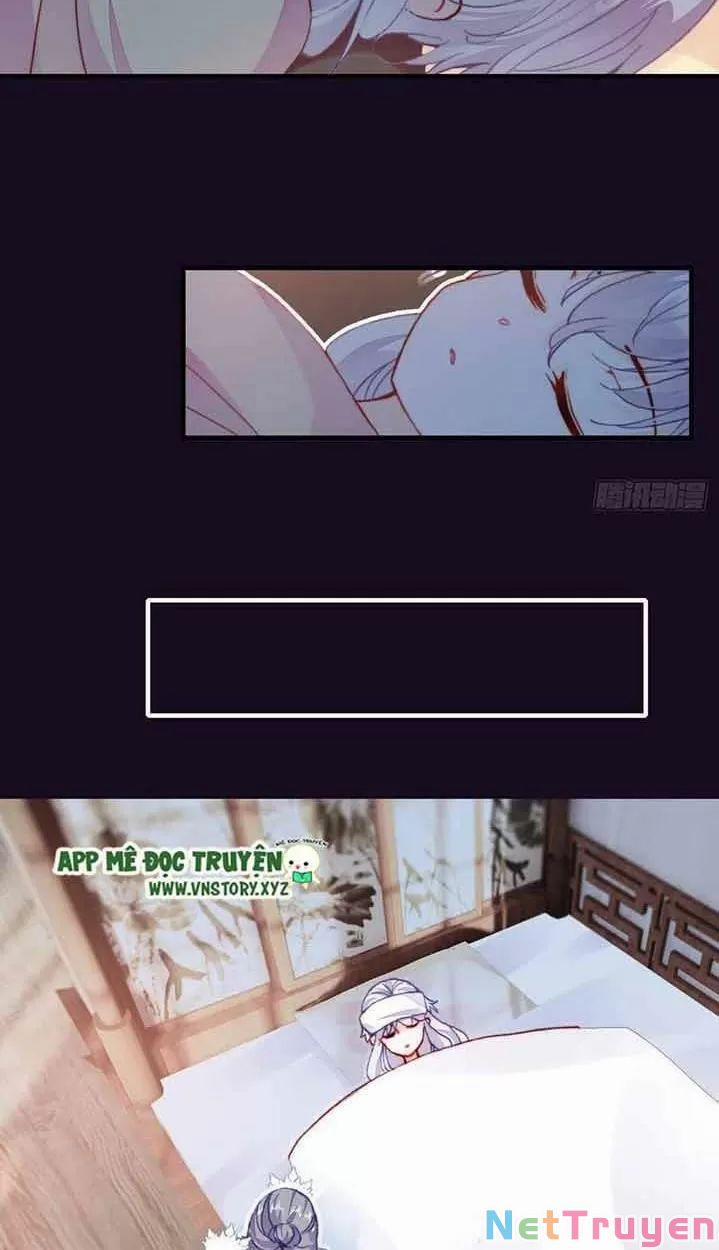 Lại Bị Bệnh Chiều Chuộng Quấn Lấy 0 Hồi Ức Trọng Thương trang 20