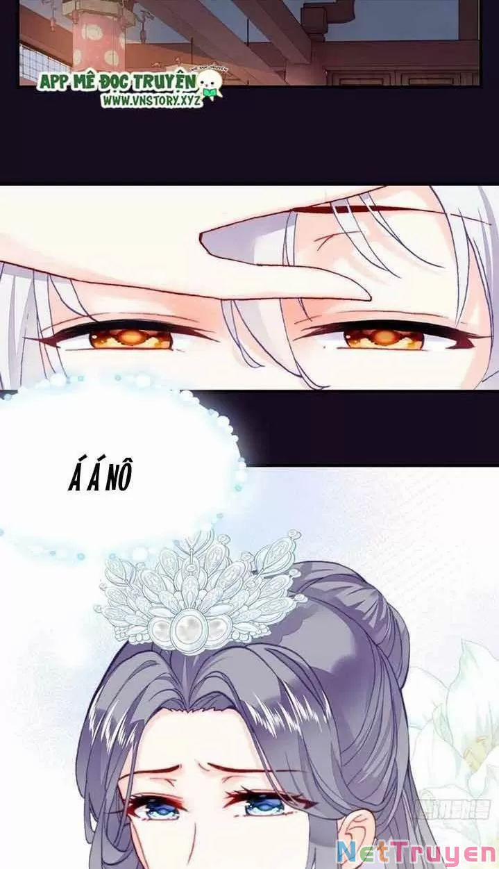 Lại Bị Bệnh Chiều Chuộng Quấn Lấy 0 Hồi Ức Trọng Thương trang 24