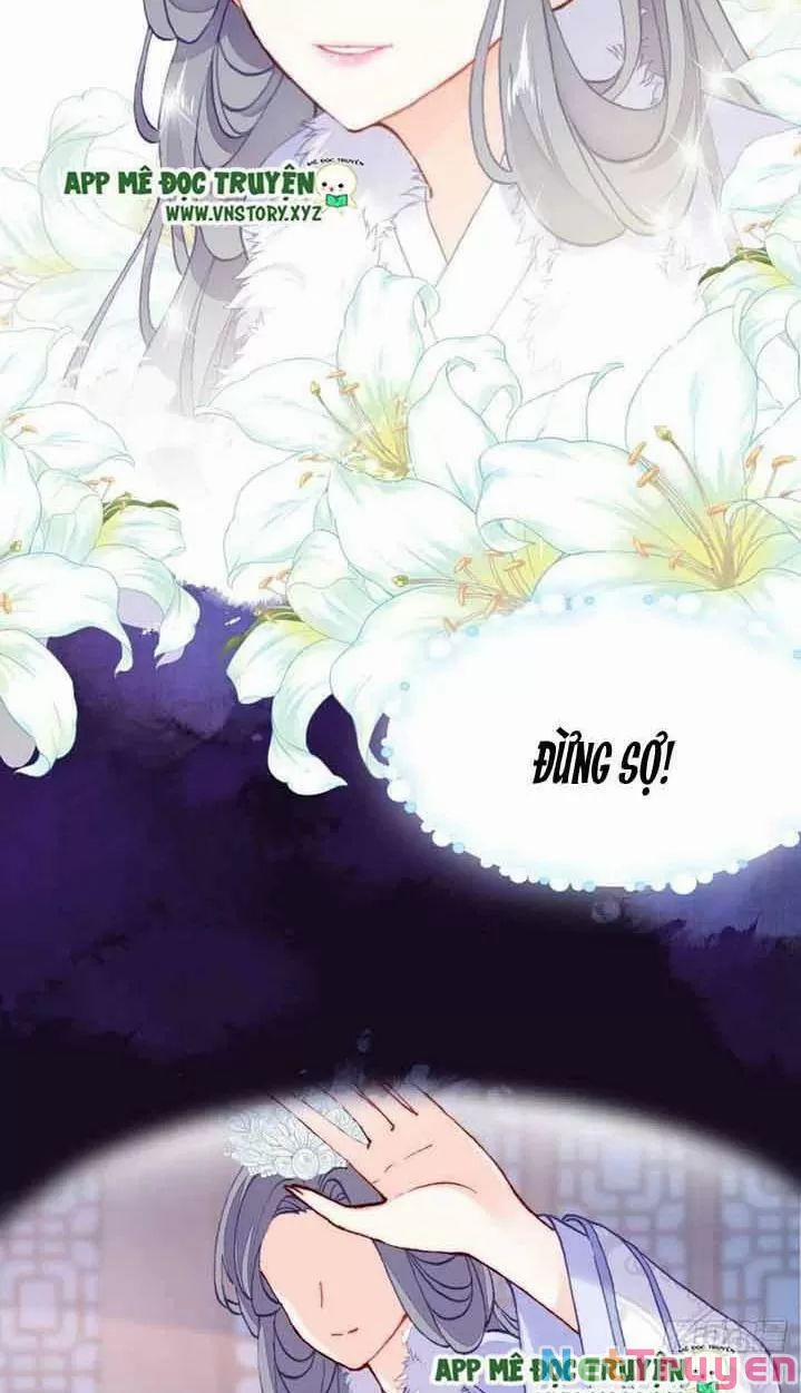 Lại Bị Bệnh Chiều Chuộng Quấn Lấy 0 Hồi Ức Trọng Thương trang 25