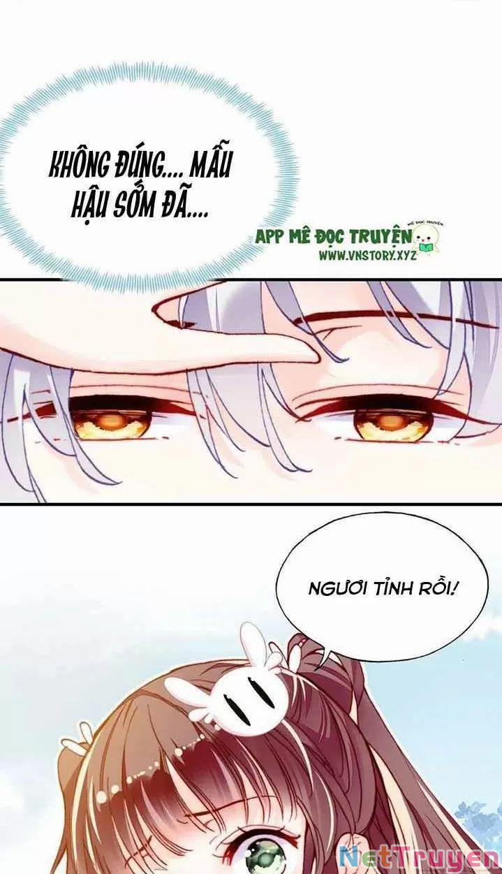Lại Bị Bệnh Chiều Chuộng Quấn Lấy 0 Hồi Ức Trọng Thương trang 28