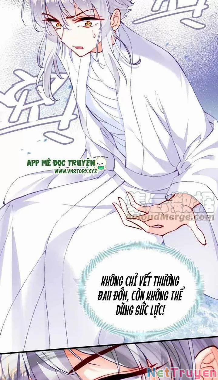 Lại Bị Bệnh Chiều Chuộng Quấn Lấy 0 Hồi Ức Trọng Thương trang 35