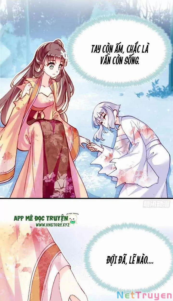 Lại Bị Bệnh Chiều Chuộng Quấn Lấy 0 Hồi Ức Trọng Thương trang 5