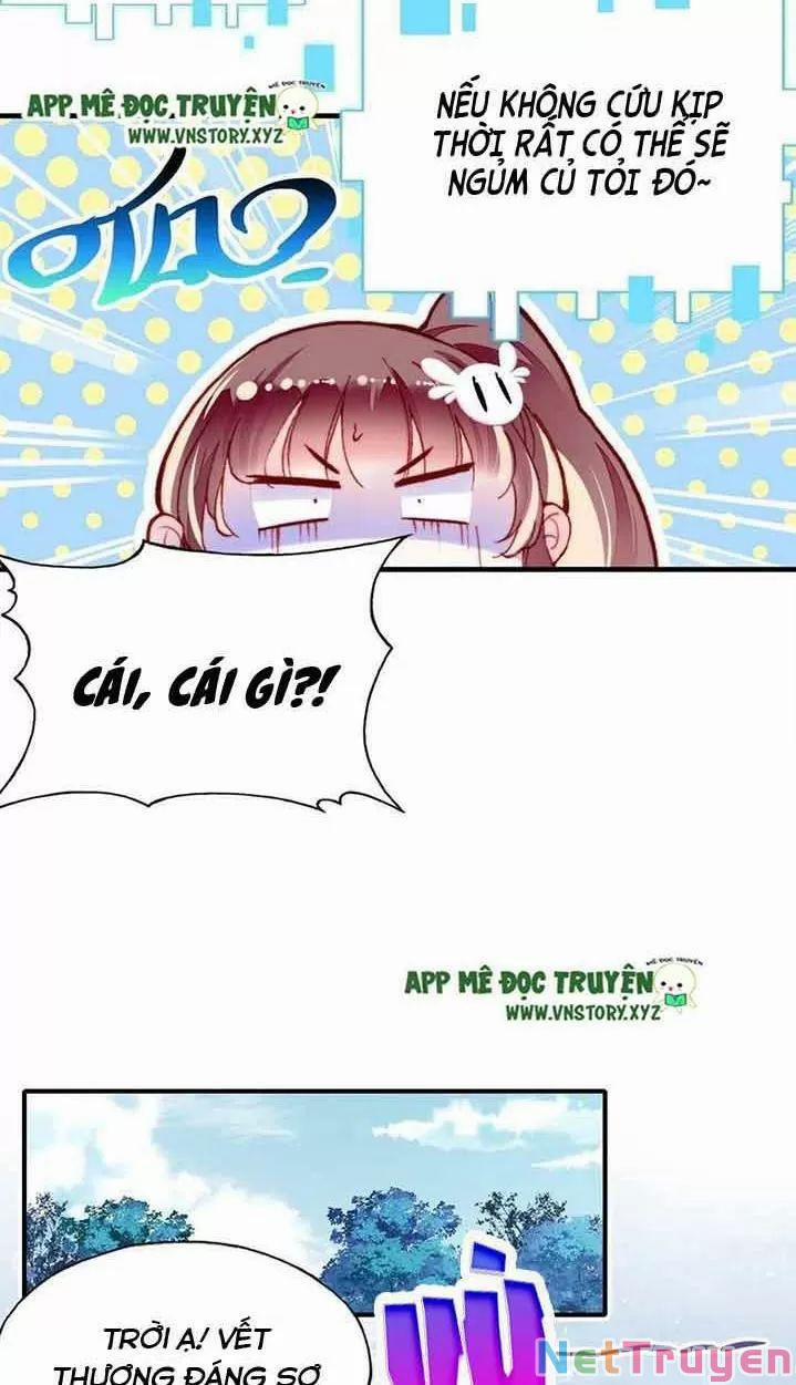 Lại Bị Bệnh Chiều Chuộng Quấn Lấy 0 Hồi Ức Trọng Thương trang 8