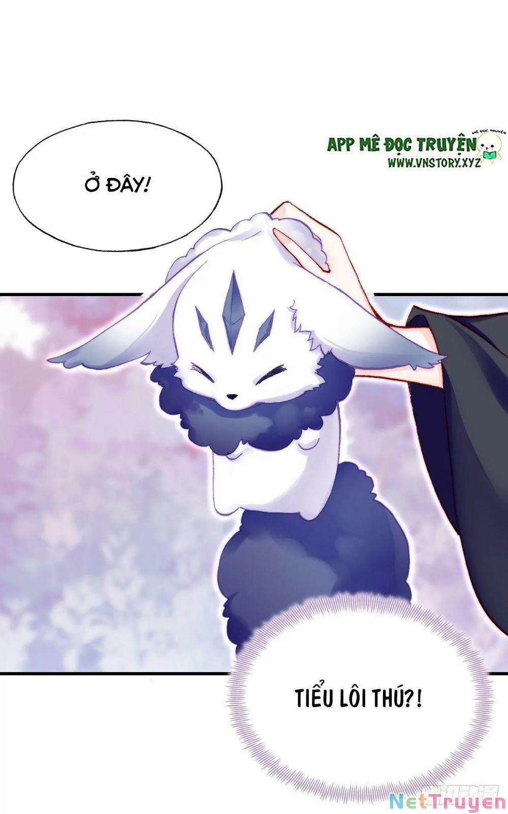 Lại Bị Bệnh Chiều Chuộng Quấn Lấy 0 Kẻ điên trang 16