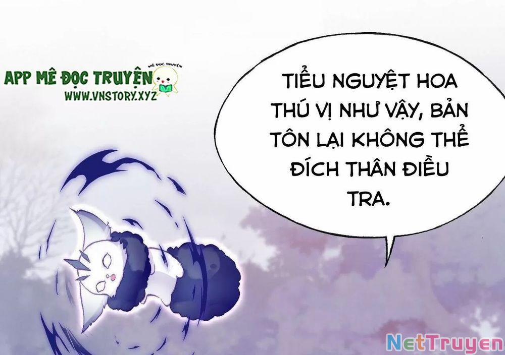 Lại Bị Bệnh Chiều Chuộng Quấn Lấy 0 Kẻ điên trang 33