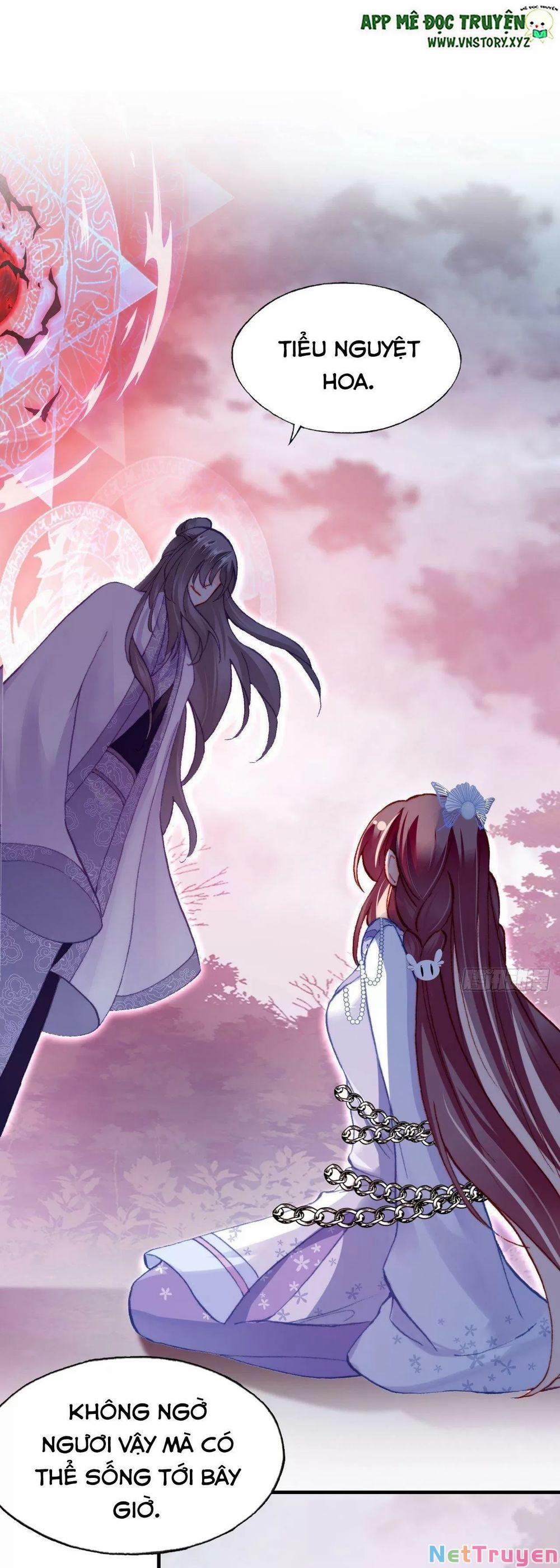 Lại Bị Bệnh Chiều Chuộng Quấn Lấy 0 Kẻ điên trang 4