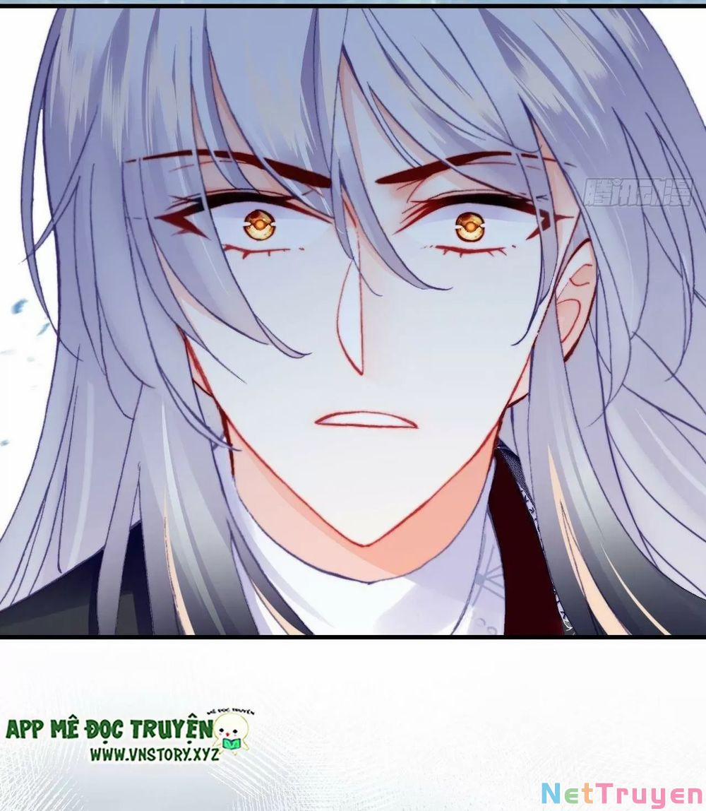 Lại Bị Bệnh Chiều Chuộng Quấn Lấy 0 Kẻ điên trang 47