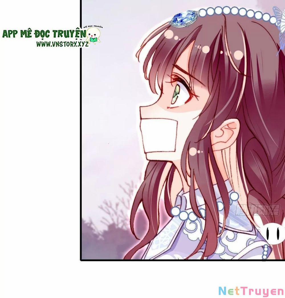 Lại Bị Bệnh Chiều Chuộng Quấn Lấy 0 Kẻ điên trang 5