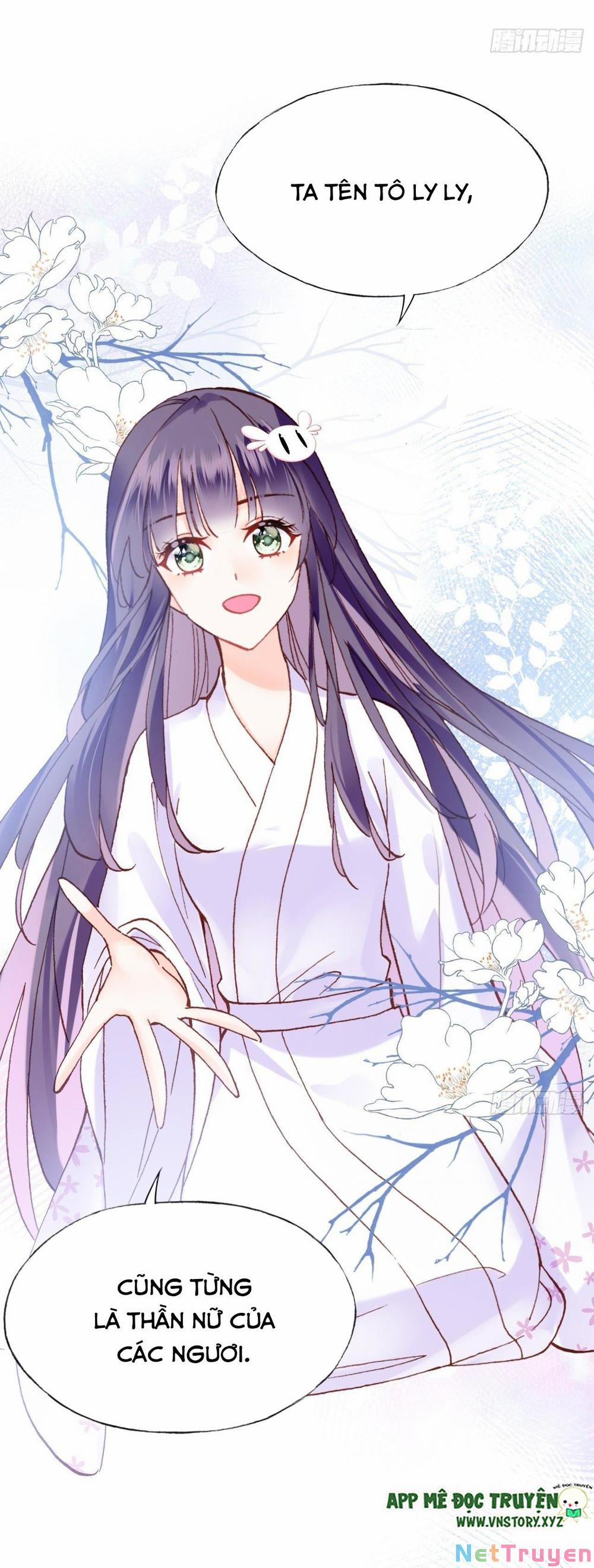 Lại Bị Bệnh Chiều Chuộng Quấn Lấy 0 Lão Tô ta lại trở về rồi trang 19