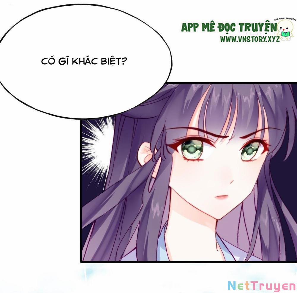 Lại Bị Bệnh Chiều Chuộng Quấn Lấy 0 Lịch sử của 0 tộc trang 5