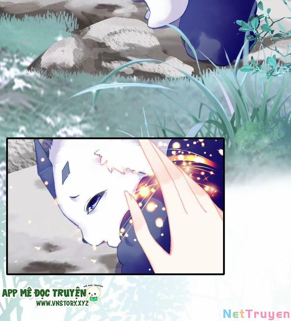 Lại Bị Bệnh Chiều Chuộng Quấn Lấy 0 Ngủ say trang 47