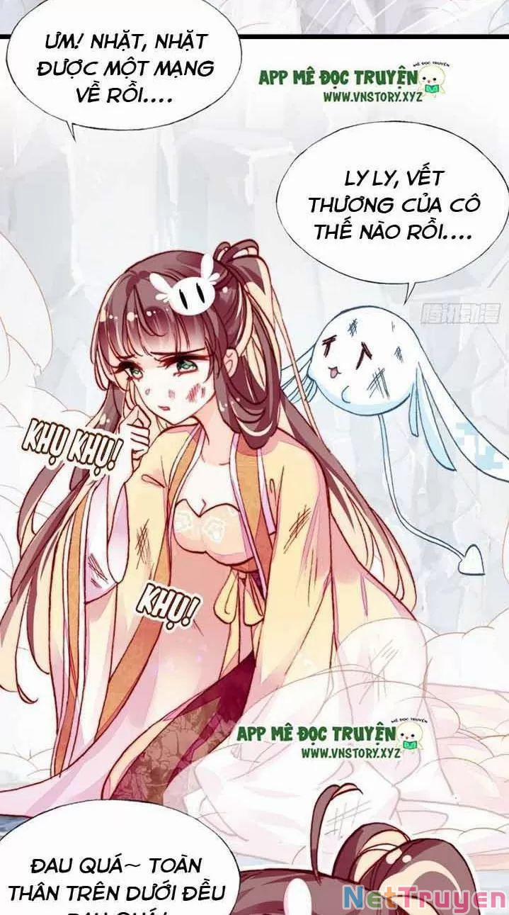 Lại Bị Bệnh Chiều Chuộng Quấn Lấy 0 Ngự thổ tiên tử trang 42