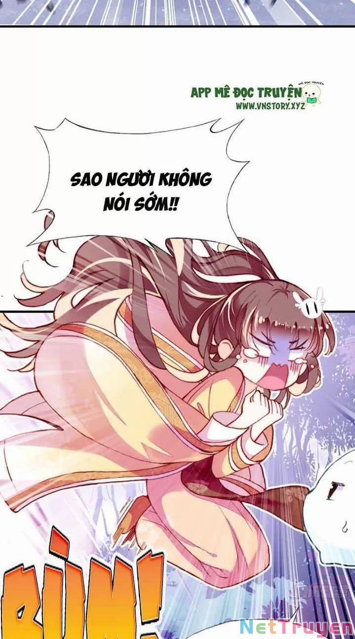 Lại Bị Bệnh Chiều Chuộng Quấn Lấy 0 Ngự thổ tiên tử trang 8