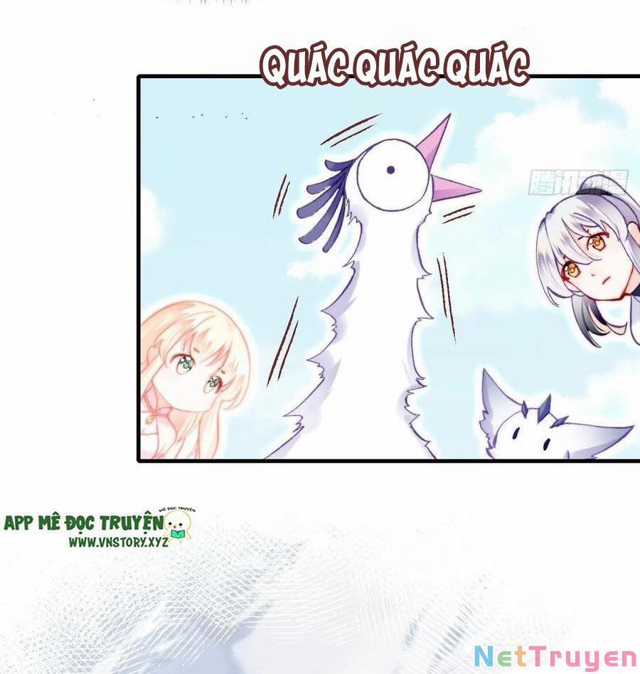 Lại Bị Bệnh Chiều Chuộng Quấn Lấy 0 Nụ cười của nàng ấy trang 3