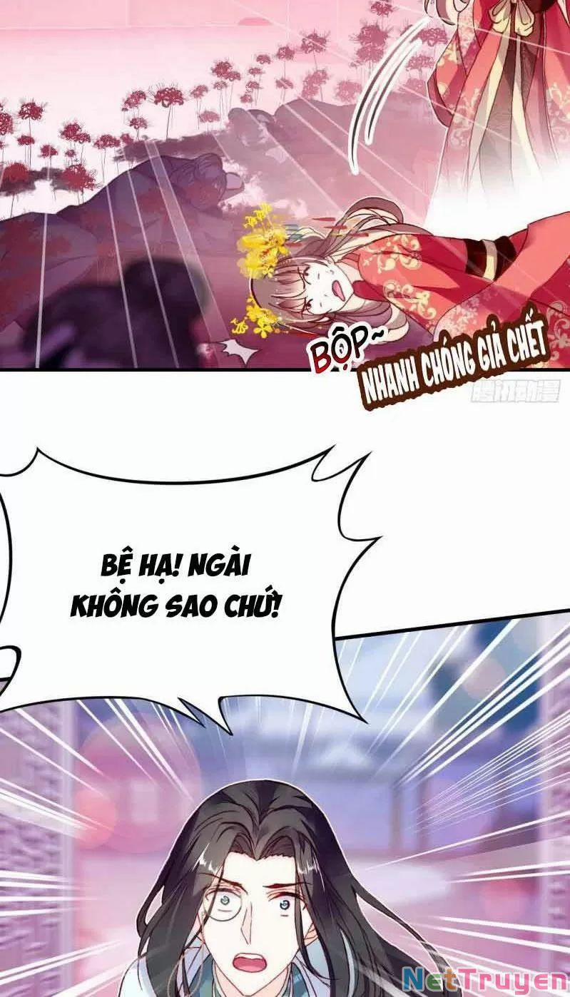 Lại Bị Bệnh Chiều Chuộng Quấn Lấy 0 Phu Quân Là Một Tên Biến Thái! trang 11