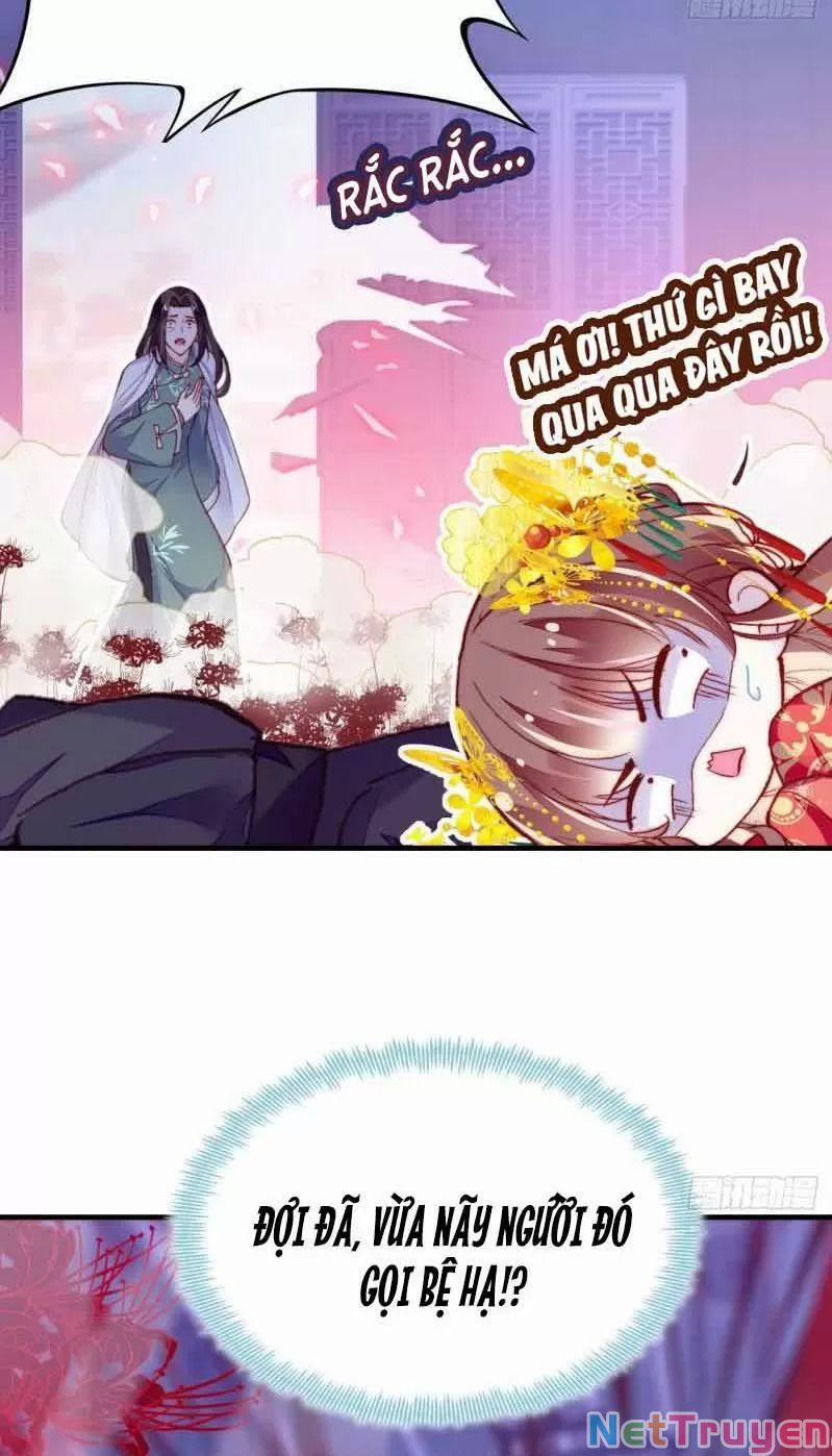 Lại Bị Bệnh Chiều Chuộng Quấn Lấy 0 Phu Quân Là Một Tên Biến Thái! trang 14