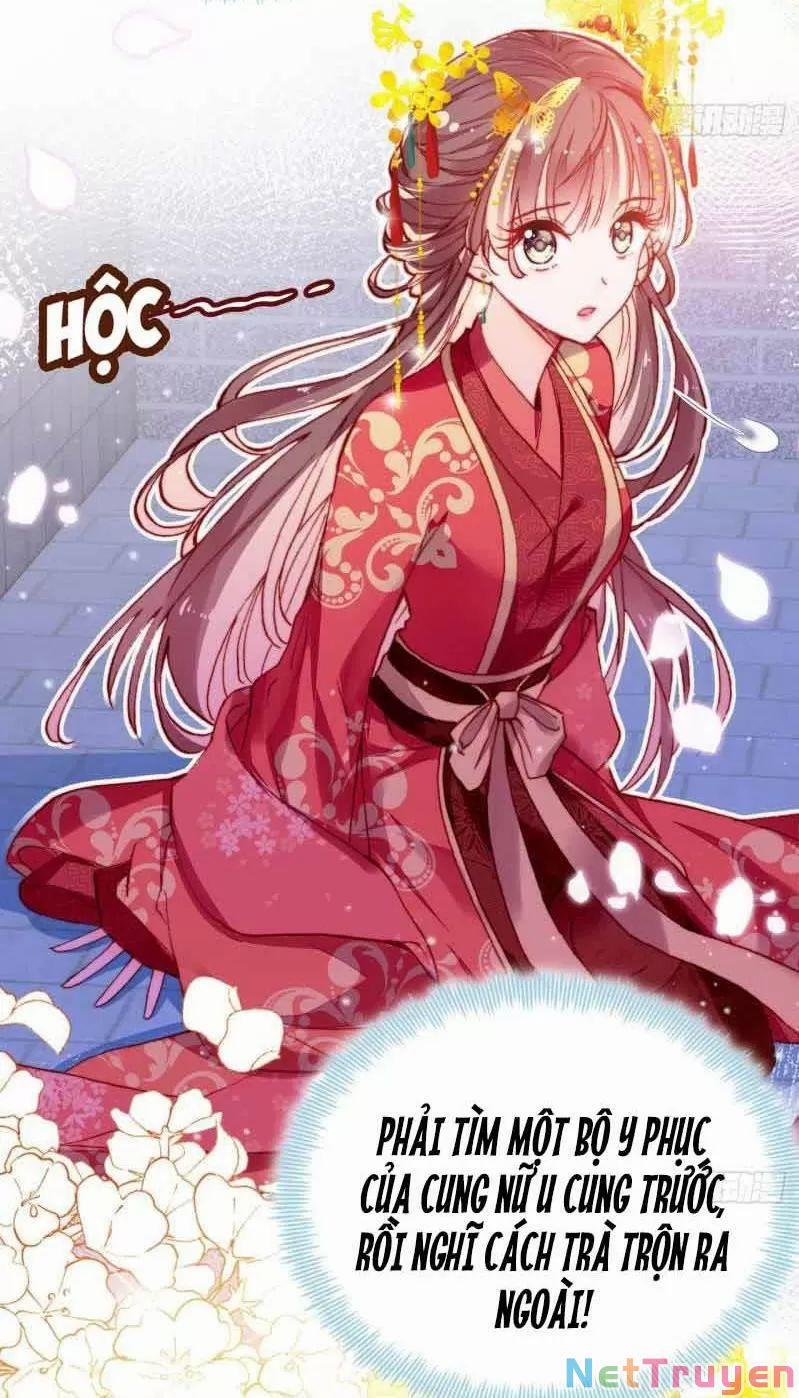 Lại Bị Bệnh Chiều Chuộng Quấn Lấy 0 Phu Quân Là Một Tên Biến Thái! trang 4