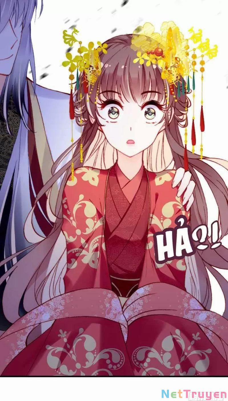 Lại Bị Bệnh Chiều Chuộng Quấn Lấy 0 Phu Quân Là Một Tên Biến Thái! trang 56