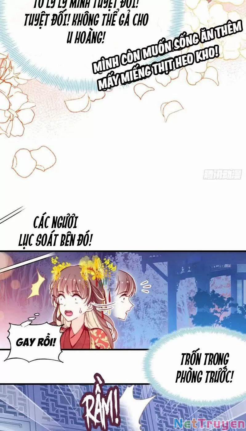 Lại Bị Bệnh Chiều Chuộng Quấn Lấy 0 Phu Quân Là Một Tên Biến Thái! trang 6