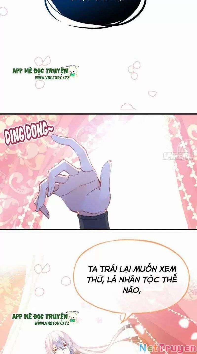 Lại Bị Bệnh Chiều Chuộng Quấn Lấy 0 Sở Trường Của Ta Chính Là Tâng Bốc trang 16