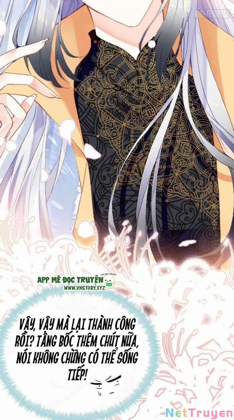 Lại Bị Bệnh Chiều Chuộng Quấn Lấy 0 Sở Trường Của Ta Chính Là Tâng Bốc trang 18